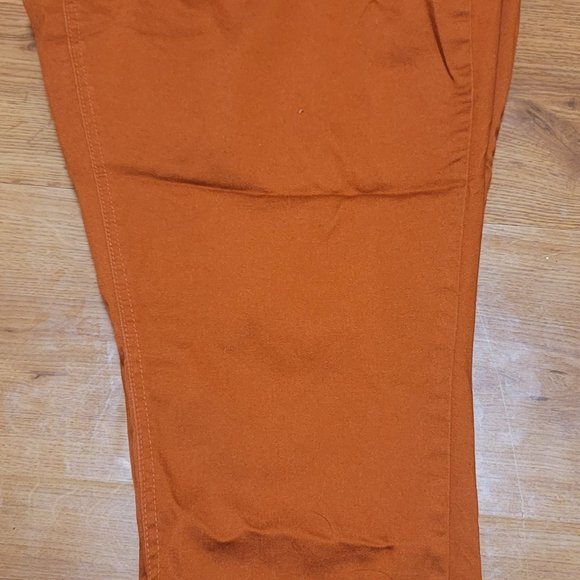 Classic PLUS   High Rise Rust Colored Bootcut Jeans Sized16W - Picture 9 of 13